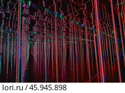 Зеркальный лабиринт. Стоковое фото, фотограф YuryKara / Фотобанк Лори