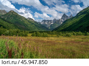 View of the floodplain of the Gonachkhir River in the northern foothills of the Caucasus Mountains near the village of Dombay on a sunny summer day, Karachay-Cherkessia, Russia. Стоковое фото, фотограф Ula Ulachka / Фотобанк Лори