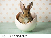 A holiday banner. A cute Easter bunny is peeking out of an Easter egg, and colorful eggs are scattered around. The concept of happy Easter. Стоковое AI-изображение, AI-художник Photojuli / Фотобанк Лори