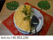 Салат с майонезом и слоями овощей, грибами и курицей на тарелке. Salad with mayonnaise and layers of vegetables, mushrooms, and chicken on a plate. Стоковое фото, фотограф Юрий Пуликов / Фотобанк Лори