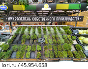 Продажа микрозелени собственного производства на Центральном рынке города Воронеж. Редакционное фото, фотограф Вячеслав Палес / Фотобанк Лори