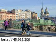 Река Фонтанка. Мост Белинского, бывший - Симеоновский мост. Санкт-Петербург (2012 год). Стоковое фото, фотограф Александр Алексеев / Фотобанк Лори