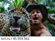Jaguar and zookeeper taking a selfie in the jungle. Стоковое AI-изображение, AI-художник Иван Рябоконь / Фотобанк Лори