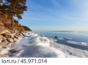 Baikal Lake in January. Beautiful landscape with pine trees on the rocky shore and white ice floes during freeze-up on a sunny frosty day. Winter natural background. Changing seasons, environment. Стоковое фото, фотограф Виктория Катьянова / Фотобанк Лори