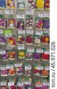 Vertical video of packages of garden flower seeds assortment showcase with price tags in Russian in supermarket. Flower seedling growing spring season. Editorial use. 17 January, 2025, Angarsk, Russia. Редакционное видео, видеограф Виктория Катьянова / Фотобанк Лори