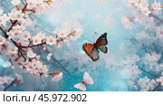 Beautiful bright summer spring background for bloggers or advertising with flying butterflies and fragrant flowers. Стоковое AI-видео, аниматор ALLA YURTAYEVA / Фотобанк Лори
