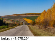 Осеняя дорога через поля и пасадки. Стоковое фото, фотограф Elena Kotova / Фотобанк Лори