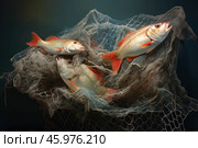 Three lane snappers trapped in fishing net on dark background. Стоковое AI-изображение, AI-художник Иван Рябоконь / Фотобанк Лори
