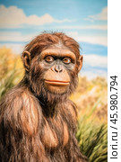 Australopithecus afarensis sitting in the grass and looking forward. Стоковое AI-изображение, AI-художник Юрий Поздников / Фотобанк Лори