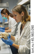 Forensic scientists examining human skull in laboratory. Стоковое AI-видео, аниматор Юрий Поздников / Фотобанк Лори