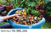 Organic waste, including leaves and grass clippings, is added into a compost pit, promoting eco-friendly recycling and composting of biodegradable materials. A woman throws kitchen scraps into a homemade compost bin. Fertilizer, curing compost to add it to the soil to improve its structure and fertility. Стоковое AI-видео, аниматор ALLA YURTAYEVA / Фотобанк Лори