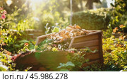 Organic waste, including leaves and grass clippings, is added into a compost pit, promoting eco-friendly recycling and composting of biodegradable materials. Стоковое AI-видео, аниматор ALLA YURTAYEVA / Фотобанк Лори