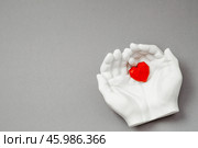 Stylish banner. In his hands, a red heart on a gray background is made of plaster. World Health, Love and Insurance Day. World Heart, Health and Organ Donor Day. Стоковое фото, фотограф Photojuli / Фотобанк Лори