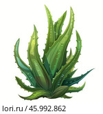 Vibrant green aloe vera plant with spiky leaves on white background. Стоковое AI-изображение, AI-художник Иван Рябоконь / Фотобанк Лори