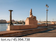 Египетский сфинкс на набережной Невы ы Санкт-Петербурге (2009 год). Стоковое фото, фотограф Александр Алексеев / Фотобанк Лори