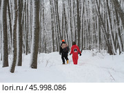Люди гуляют в лесу зимой. Стоковое фото, фотограф Elena Kotova / Фотобанк Лори