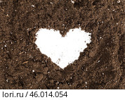 Soil or dirt section isolated on white background. Стоковое фото, фотограф Сергей Толмачёв / Фотобанк Лори