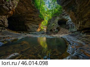 Watkins glen state park featuring a narrow gorge with flowing water reflecting lush green trees. Стоковое AI-изображение, AI-художник Иван Рябоконь / Фотобанк Лори