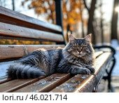 красивый, большой, пушистый серый кот в солнечный зимний день. Стоковое AI-изображение, AI-художник Руслан Лесков / Фотобанк Лори