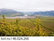 Кедровый стланник, горы, лес, поселок Усть-Нера, река Индигирка   ( Республика САХА, Якутия, Оймяконский район ) (2009 год). Стоковое фото, фотограф Павел Просянов / Фотобанк Лори