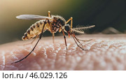 Common house mosquito drinking blood on human skin. Mosquito is biting arm. closeup of a nasty mosquito sitting on hand. Macro. Zika virus. Insect bite. Allergic reaction, itchy, allergy, dermatitis. Стоковое AI-видео, аниматор Марина Демидюк / Фотобанк Лори
