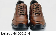 Dark brown leather lace-up running shoes with low tops, thick soles. The laces and black rubber outsole. Sporty look. Men to wear during outdoor activities, hiking. Brown shoes. Trendy Male Boots Pair. Стоковое AI-видео, аниматор Марина Демидюк / Фотобанк Лори