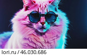 Cat with glasses. Big white Cat wearing black stylish sunglasses among a dark background with neon blue purple light. Portrait of fluffy pussycat with long hair. Fashion, style, cool animal concept. Стоковое AI-видео, аниматор Марина Демидюк / Фотобанк Лори