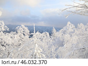 Снежный лес в горах. Стоковое фото, фотограф Антон Марунько / Фотобанк Лори