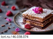 Delicious chocolate and raspberry mille feuille dessert sprinkled with icing sugar. Стоковое AI-изображение, AI-художник Иван Рябоконь / Фотобанк Лори