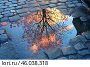 Reflection of autumn leaves in a puddle on cobblestone street during sunset. Стоковое AI-изображение, AI-художник Katsiaryna Repich / Фотобанк Лори