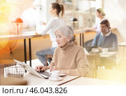 Elderly woman sitting at table, using laptop and enjoing cup of tea in coffee house. Стоковое фото, фотограф Яков Филимонов / Фотобанк Лори