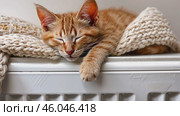 Fluffy young little cat relaxing on warm radiator with plaid against white wall. Red ginger kitten is sleeping in funny pose. Cold season. Banner for website. Pet cat warming up near heater. Heating. Стоковое AI-видео, аниматор Марина Демидюк / Фотобанк Лори