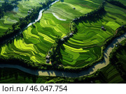 Rice terraces forming stunning green patterns in vietnam countryside. Стоковое AI-изображение, AI-художник Иван Рябоконь / Фотобанк Лори