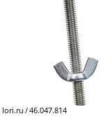 Long metal screw and a U-shaped nut isolated on a white background. Стоковое фото, фотограф Елена  Попкова / Фотобанк Лори