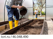 A male farmer pours new soil, soil for a new greenhouse. The concept of spring vegetable planting, greenhouse installation and farming. Стоковое фото, фотограф Photojuli / Фотобанк Лори