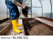 A male farmer pours new soil, soil for a new greenhouse. The concept of spring vegetable planting, greenhouse installation and farming. Стоковое фото, фотограф Photojuli / Фотобанк Лори