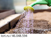 There is a watering can in the hands of an elderly woman. The farmer waters the garden with solutions of potassium permanganate against diseases and pests before planting seedlings in the ground. Стоковое фото, фотограф Photojuli / Фотобанк Лори