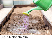There is a watering can in the hands of an elderly woman. The farmer waters the garden with solutions of potassium permanganate against diseases and pests before planting seedlings in the ground. Стоковое фото, фотограф Photojuli / Фотобанк Лори