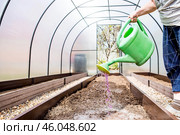 There is a watering can in the hands of an elderly woman. The farmer waters the garden with solutions of potassium permanganate against diseases and pests before planting seedlings in the ground. Стоковое фото, фотограф Photojuli / Фотобанк Лори