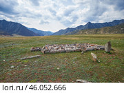 Ancient burials in the Altai mountains on terrace of the Katun and Bolshoy Yaloman rivers. (2023 год). Стоковое фото, фотограф Сергей Пристяжнюк (Serg Zastavkin) / Фотобанк Лори