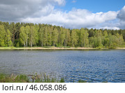 Река Скорогодайка майским солнечным днем. Стоковое фото, фотограф Елена Коромыслова / Фотобанк Лори