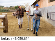 Asian woman holding saddle while older woman rancher leading horse outdoors. Стоковое фото, фотограф Яков Филимонов / Фотобанк Лори