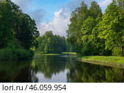 View of the Central Rosovopavilionny pond in the landscape part of the Pavlovsky Park Parade Field on a sunny summer day, Pavlovsk, St. Petersburg, Russia. Стоковое фото, фотограф Ula Ulachka / Фотобанк Лори