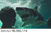 Man is attacked by a shark under water. Diving sports, risk and danger and panic attack victim concept. Стоковое AI-видео, аниматор Ирина Старикова / Фотобанк Лори