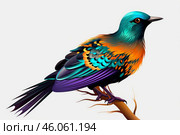 Superb starling perching on branch with colorful plumage. Стоковое AI-изображение, AI-художник Иван Рябоконь / Фотобанк Лори