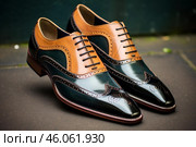 Elegant brogue shoes exhibiting impeccable craftsmanship and style. Стоковое AI-изображение, AI-художник Иван Рябоконь / Фотобанк Лори