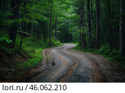 Winding dirt road through lush green forest in the appalachian mountains. Стоковое AI-изображение, AI-художник Иван Рябоконь / Фотобанк Лори