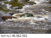 Порог Ревун на реке Исеть, Каменский городской округ, Свердловская область (2024 год). Стоковое фото, фотограф Pukhov K / Фотобанк Лори
