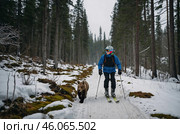 Лыжник прогуливается по заснеженному лесу в зимнее время рядом с медведем. Стоковое AI-изображение, AI-художник Сергей Никифоров-Гордеев / Фотобанк Лори