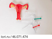 Top view healthy anatomical model of the uterus and medical gynecological speculum on white background. Reproductive system and Pregnancy concept. Стоковое фото, фотограф Ирина Михайличенко / Фотобанк Лори